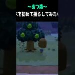 【あつ森】初めて木を揺らしてみたら…！？#shorts #あつ森 #あつまれどうぶつの森