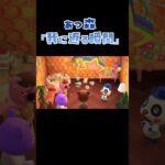 【あつ森】あつ森で急に我に返る瞬間!!!　私はいったい何をしているんだろう…(´ε｀ )　#shorts  #あつ森