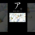 姉が置いた模型について。  #shorts #ゲーム #あつまれどうぶつの森 #あつ森