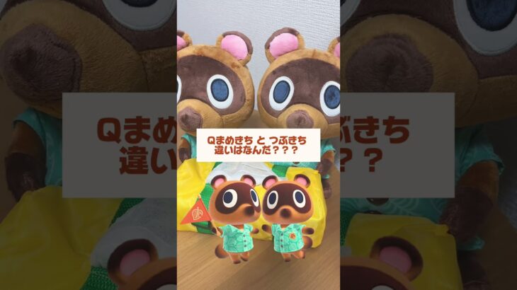 どうぶつの森の一番くじが可愛すぎた…。　#shorts #どうぶつの森 #あつ森 #どう森 #一番くじ #推し活