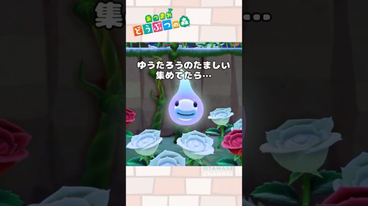 【あつ森小ネタ】ゆうたろう、どういうこと…？#shorts #あつ森 #あつまれどうぶつの森