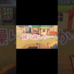 もう雪だるま作れないってこと？！😧【あつ森】 #shorts #あつ森 #ゲーム実況