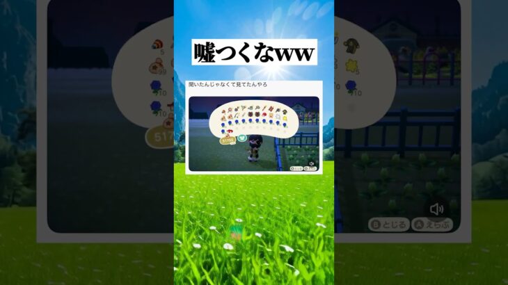 見てたやろ #shorts #面白い #おもしろ #あつ森 #ゲーム