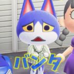 【あつ森】あああ・・バンタムがぁぁぁぁ！！  #shorts #あつ森  #あつまれどうぶつの森