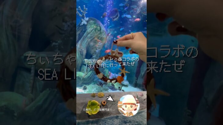 この後２人ですぐあつ森したんだなも #shorts #どうぶつの森 #あつ森