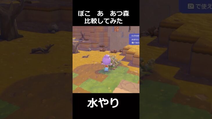 ぽこ あとあつ森を比較してみた!!【ぽこあポケモン】#shorts #ポケモン #ぽこポケ #ぽこあ