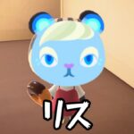 【あつ森】キャンプサイトに・・またリスゥ？！ #shorts #あつ森 #あつまれどうぶつの森