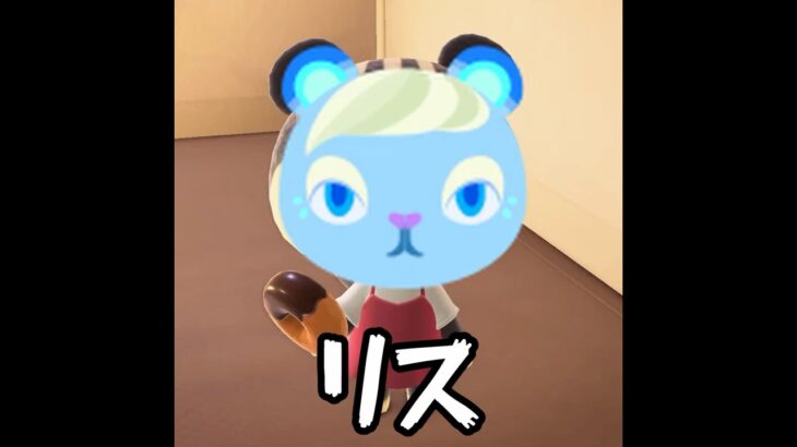 【あつ森】キャンプサイトに・・またリスゥ？！ #shorts #あつ森 #あつまれどうぶつの森