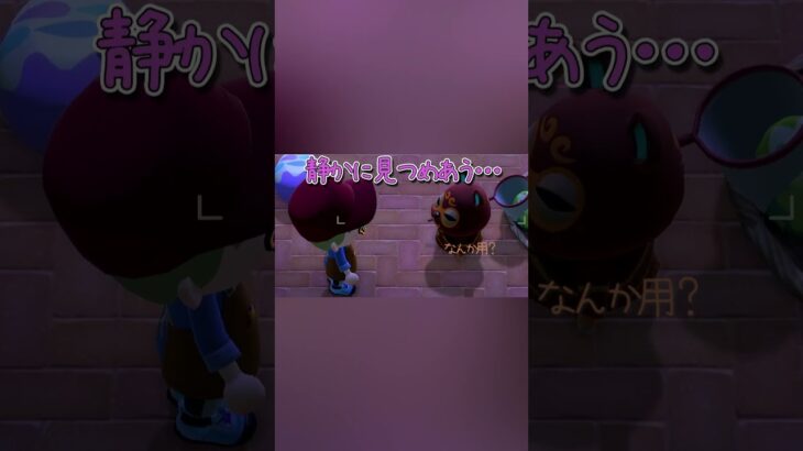 あつ森　イースター番外編　どぐろうとわちゃわちゃ#あつ森 #あつまれどうぶつの森 #shorts #初心者プレイ #ゲーム