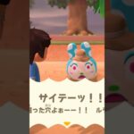 【あつ森】アイドル（姉）を落とし穴に落としてみた♡ 　#shorts #あつ森