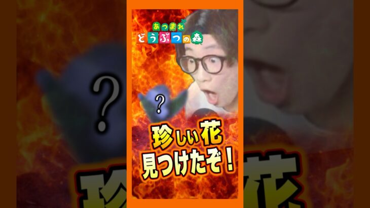 #shorts #ゲーム実況 #あつまれどうぶつの森 #あつ森 #あつもり