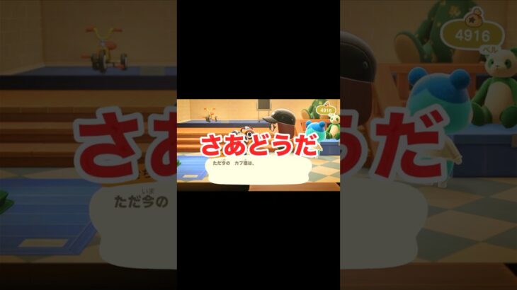 今週のカブ価は…？💹🙏 【あつ森】 #shorts #あつ森 #ゲーム実況