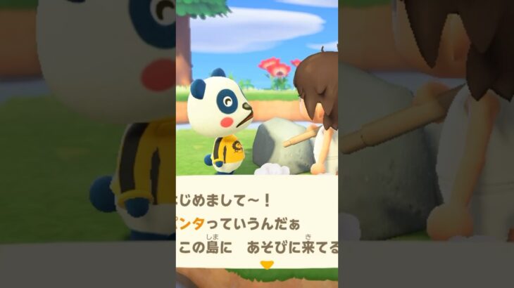 【あつ森】ある意味有名な住民に出会った！　#shorts #あつ森