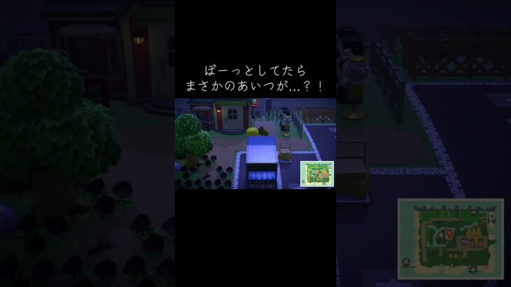 #shorts #あつ森 #あつまれどうぶつの森 #ゲーム好きのなつ