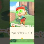 お魚コンプ🐟#あつ森 #shorts