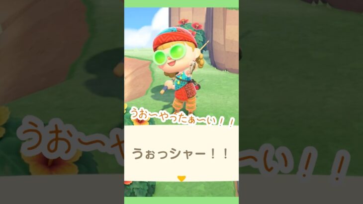 お魚コンプ🐟#あつ森 #shorts