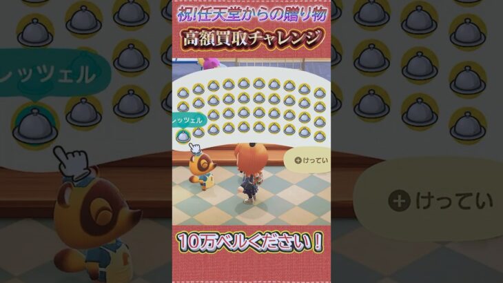 任天堂からプレゼントで高額買取チャレンジ！ #あつ森 #あつまれどうぶつの森 #shorts