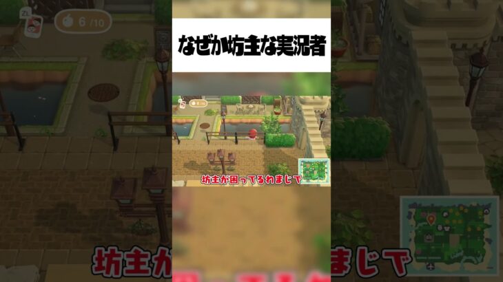 あつ森でなぜか坊主すぎる意味不明な実況者#shorts