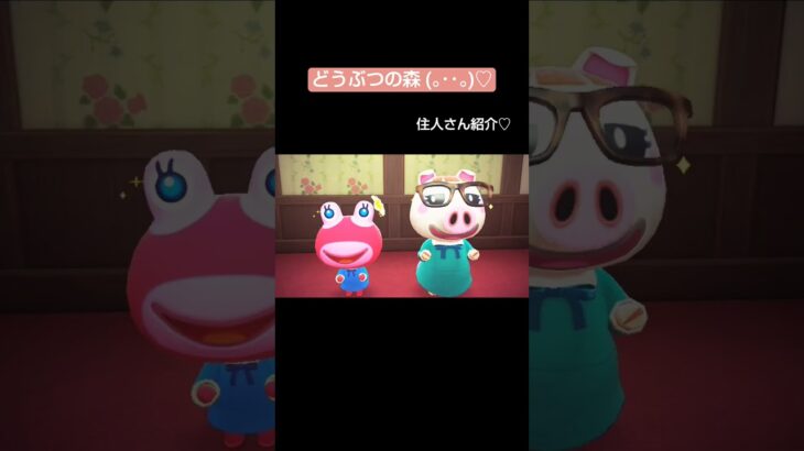 【どうぶつの森】住人さん紹介#あつ森 #あつまれどうぶつの森#shorts