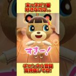 末っ子が１番好きなのは、、まさかの結果に。#あつ森 #あつまれどうぶつの森 #shorts