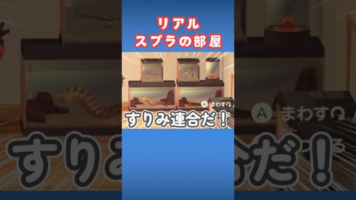 スプラコラボ家具なしでスプラを再現したい【あつ森】#shorts
