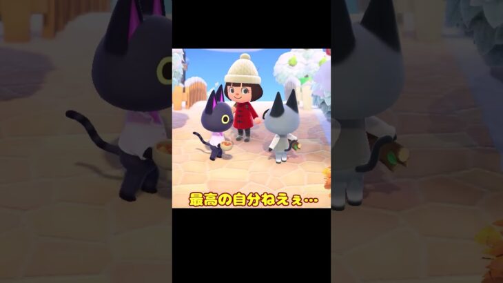 キャビアとジャック「鏡よ鏡、鏡さん…？」【あつ森】#shorts