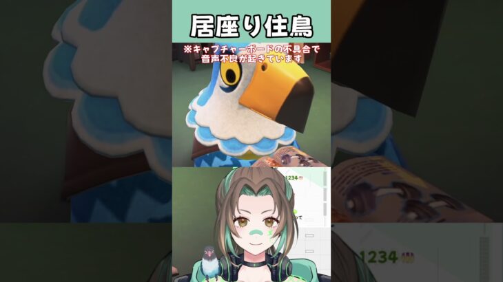 【あつ森】居座り住鳥【切り抜き】#shorts
