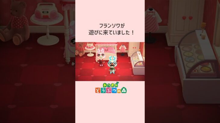 【あつ森】仲良しウサギ姉妹！#shorts