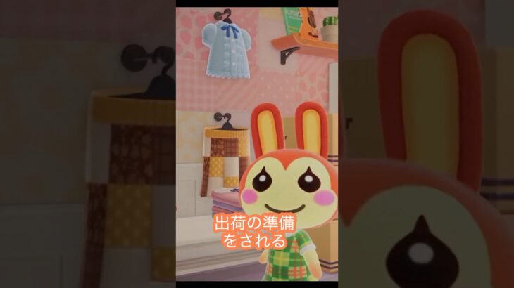 【あつ森】８×８でリリアンのお部屋‼️＃あつ森#ハピパラ#shorts