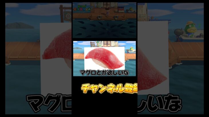 この魚レア？？？【あつまれどうぶつの森】【あつ森】 #あつ森 #あつまれどうぶつの森 #どうぶつの森 #ゲーム実況 #ゲーム #shorts