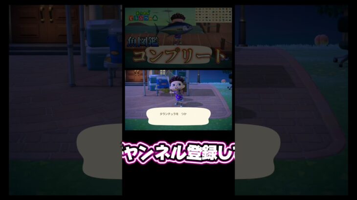 紛らわしいタランチュラ捕獲！【あつまれどうぶつの森】【あつ森】 #あつまれどうぶつの森 #あつ森 #どうぶつの森 #ゲーム実況 #ゲーム #shorts