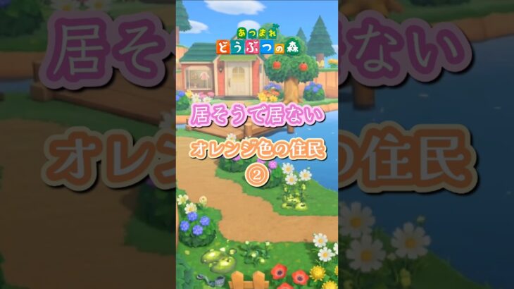 【あつ森】居そうで居ないオレンジ色の住民②#shorts