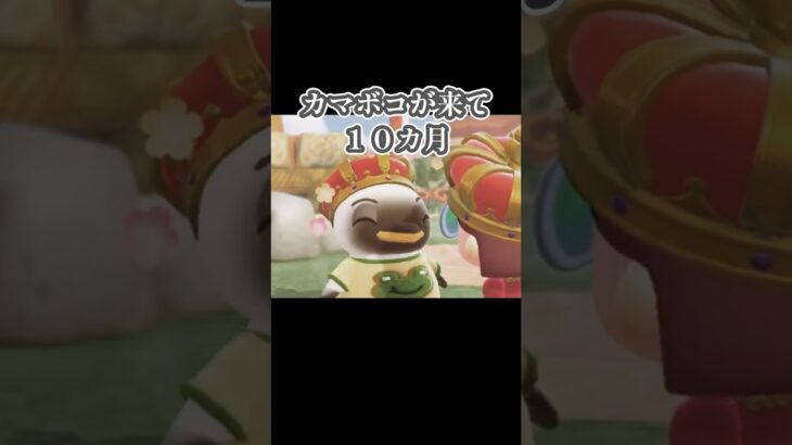 カマボコに１０カ月貢ぎ続けた結果【あつ森】#shorts