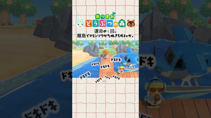 フランソワちゃんに出会いたい。#あつまれどうぶつの森 #あつ森 #離島ガチャ #shorts