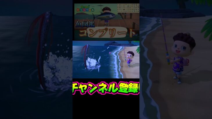 デカイ影はレアな魚‼️【あつまれどうぶつの森】【あつ森】 #あつまれどうぶつの森 #あつ森 #どうぶつの森 #ゲーム #ゲーム実況 #shorts