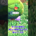 ぽこあとあつ森果物比較【ぽこあポケモン】#shorts #ポケモン #ポケモンZA #ポケモンチャンピオンズ