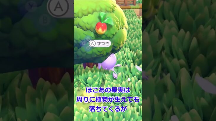 ぽこあとあつ森果物比較【ぽこあポケモン】#shorts #ポケモン #ポケモンZA #ポケモンチャンピオンズ