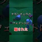 【あつ森】これがタランチュラのフェイントか！😢#shorts #あつまれどうぶつの森 #あつ森 #acnh #animalcrossing #animalcrossingnewhorizons