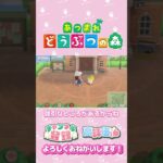 【あつ森】あつ森が人生過ぎるｗ　#shorts   #animalcrossing
