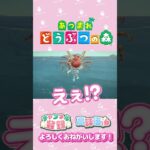 【あつ森】おっきいっっっ///　#shorts   #animalcrossing
