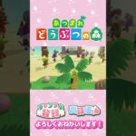 【あつ森】別荘のフェスに、、、　ちっちちゃん　#shorts   #animalcrossing