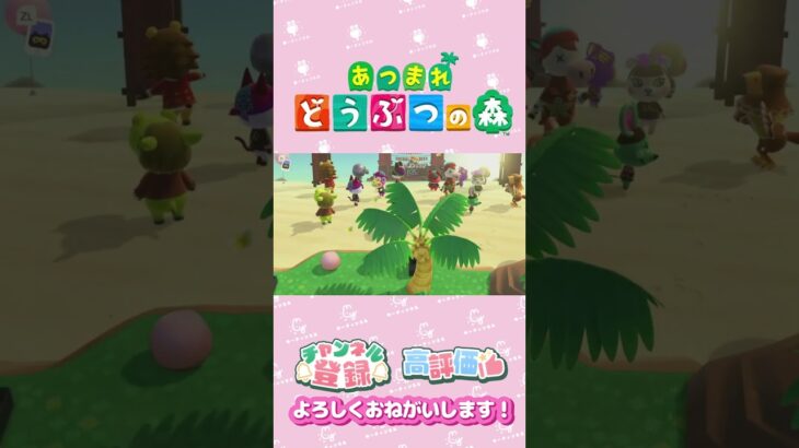 【あつ森】別荘のフェスに、、、　ちっちちゃん　#shorts   #animalcrossing
