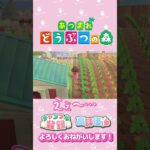 【あつ森】買取ボックスで損してる？　#shorts   #animalcrossing