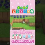 【あつ森】はにわがふたつ？？　#shorts   #animalcrossing