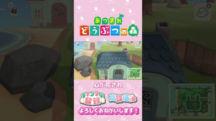 【あつ森】癒しと耐えと夜の顔　#shorts   #animalcrossing