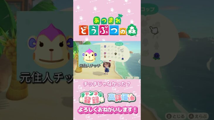【あつ森】島に着いた便の差出人は？　ハピパラ　別荘　#shorts   #animalcrossing