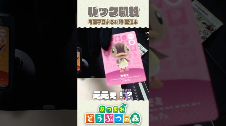 ギ。 -疑惑の豪運について- 【あつ森】 #shorts #あつ森 #あつまれどうぶつの森 #animalcrossing #acnh