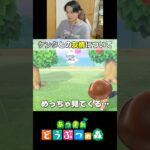【あつ森】ケンタとの友情が壊れかけた…#shorts #nintendo #ゲーム実況