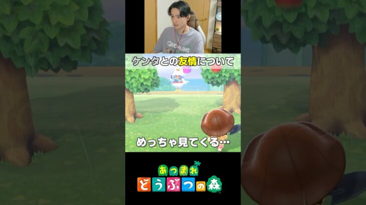 【あつ森】ケンタとの友情が壊れかけた…#shorts #nintendo #ゲーム実況