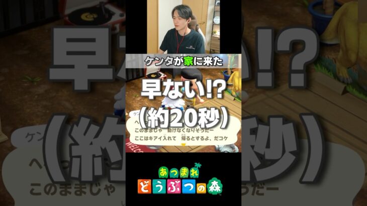 【あつ森】ケンタが家に遊びにケンタ #shorts #nintendo #ゲーム実況